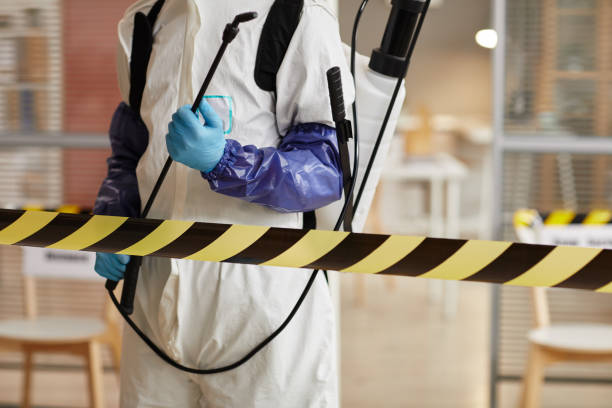 Professional Sewage Cleanup technician working in Hampton, MD